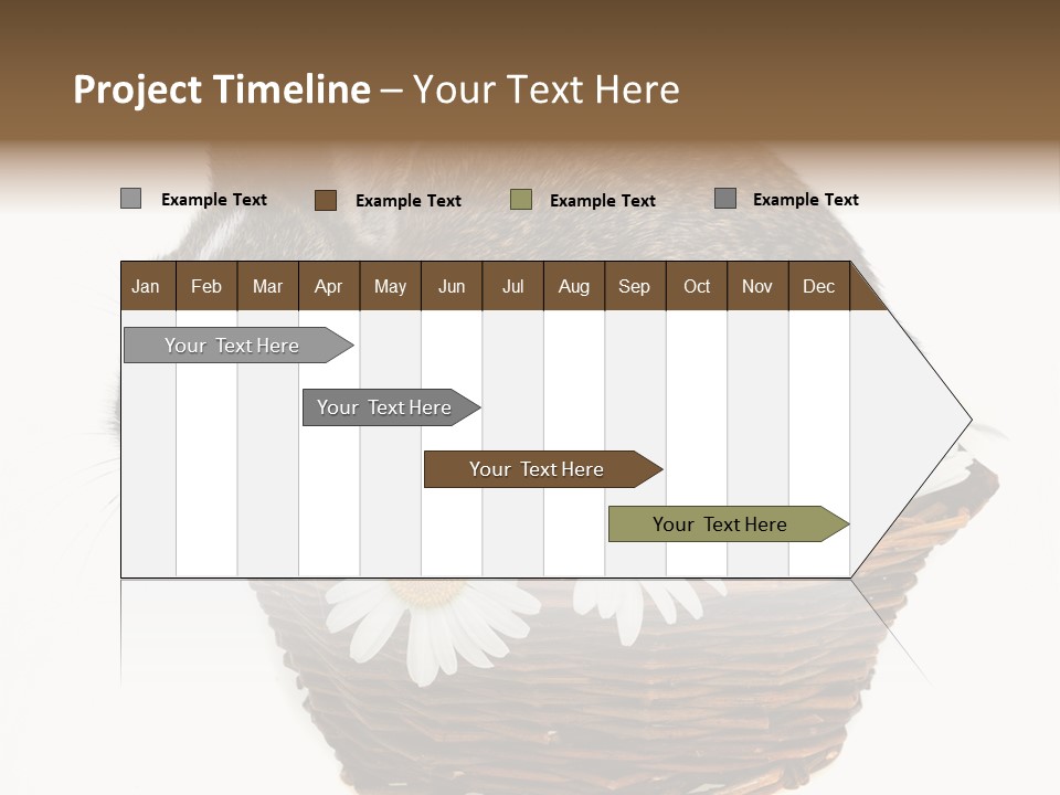 Lying Timid Season PowerPoint Template
