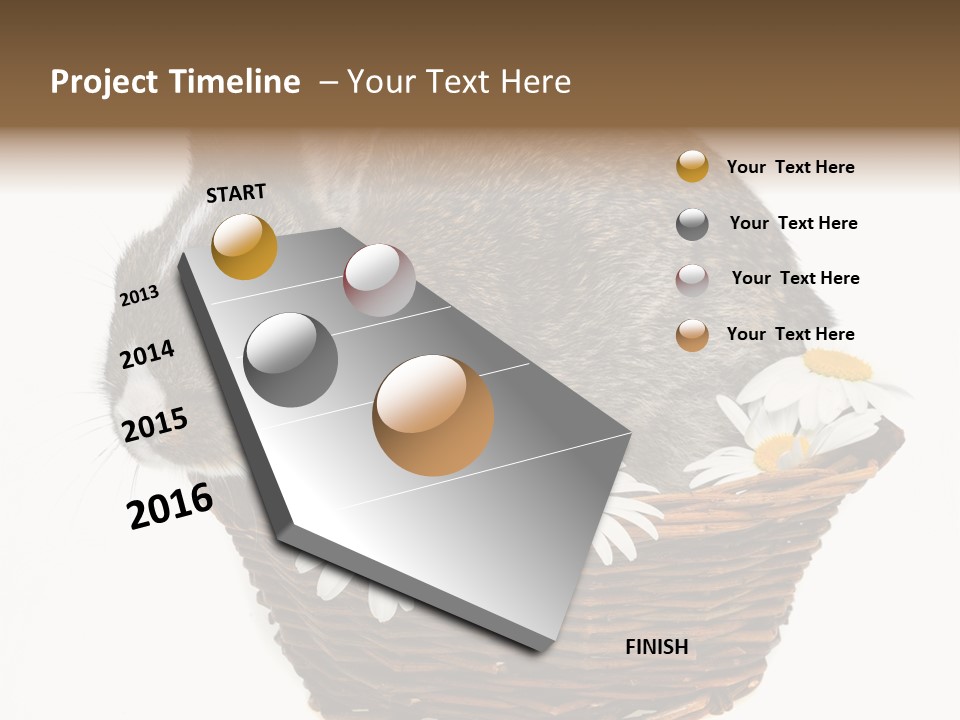 Lying Timid Season PowerPoint Template