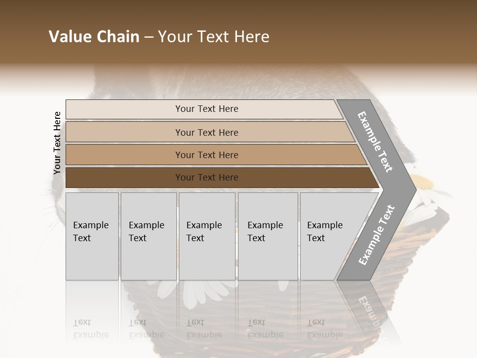 Lying Timid Season PowerPoint Template