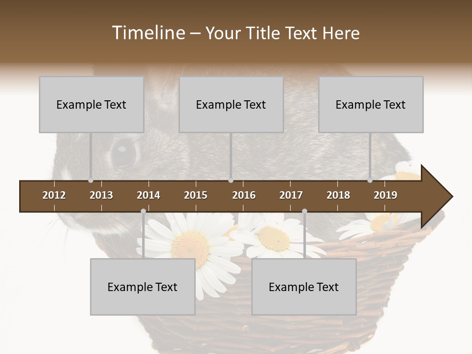 Lying Timid Season PowerPoint Template