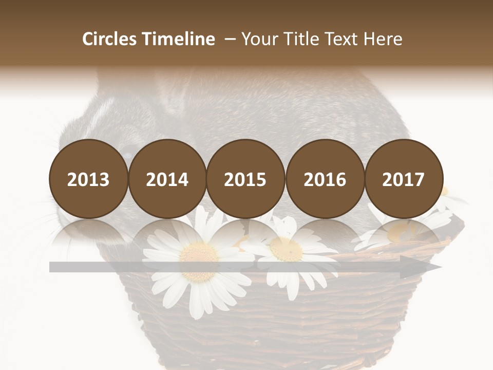 Lying Timid Season PowerPoint Template