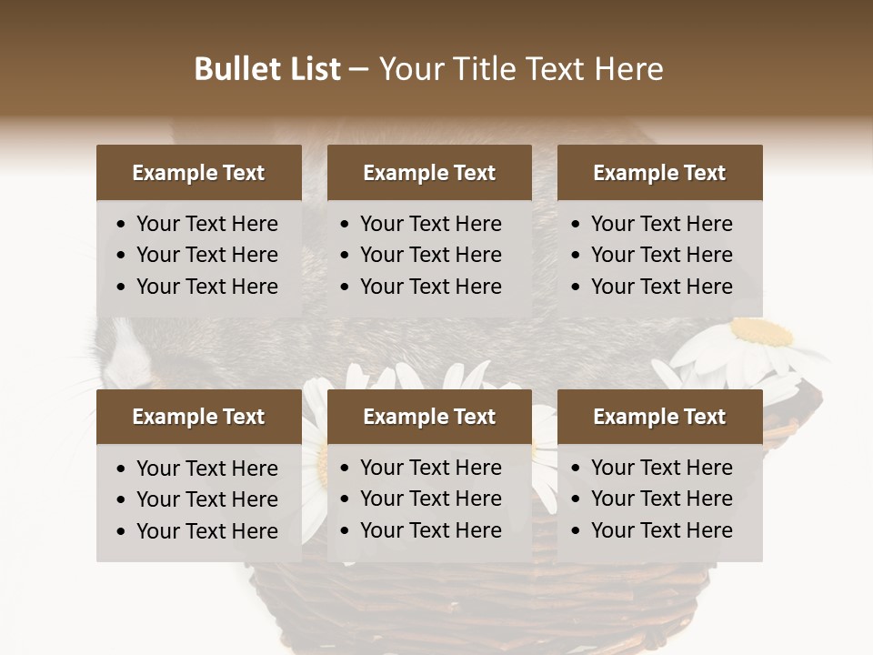 Lying Timid Season PowerPoint Template