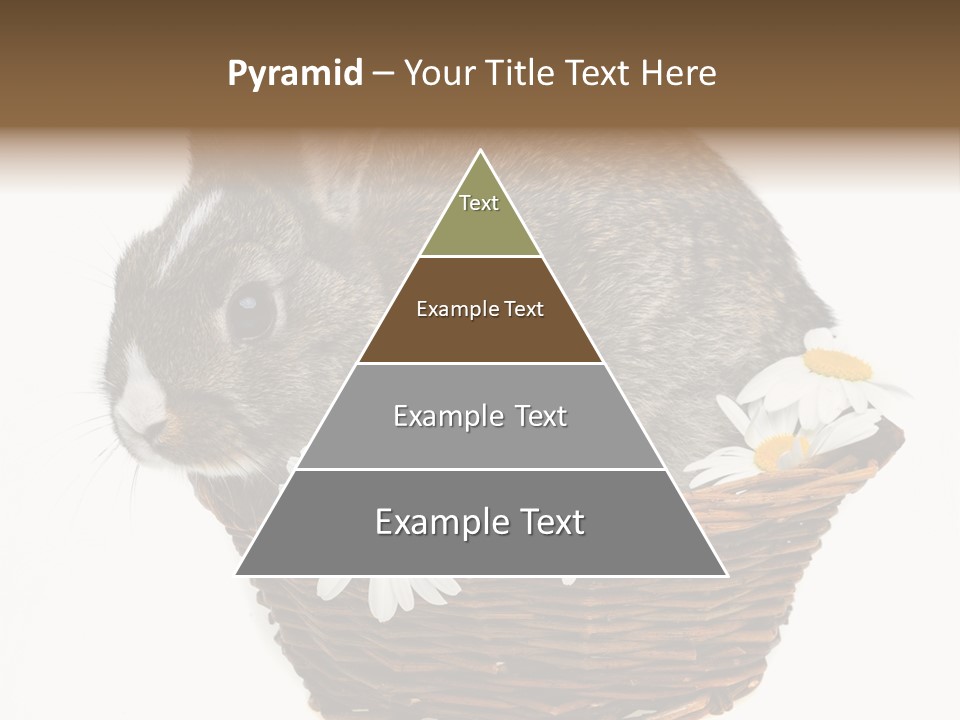 Lying Timid Season PowerPoint Template