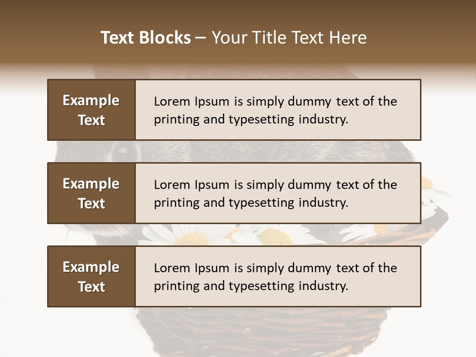 Lying Timid Season PowerPoint Template