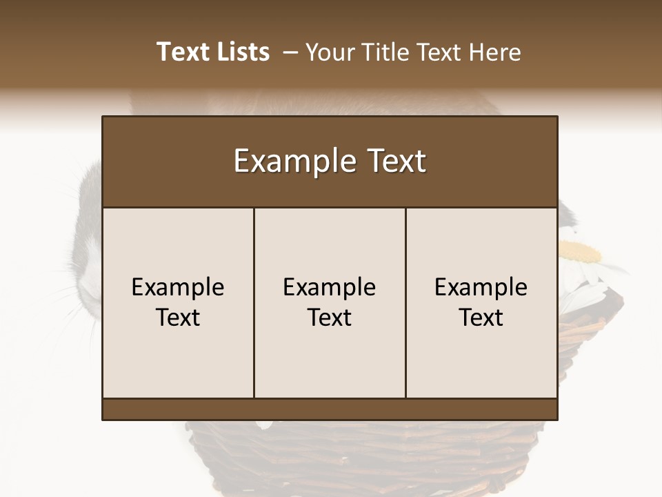 Lying Timid Season PowerPoint Template