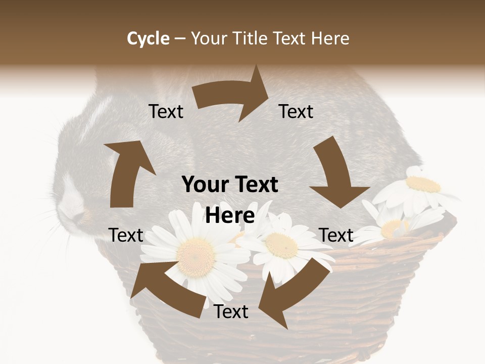 Lying Timid Season PowerPoint Template
