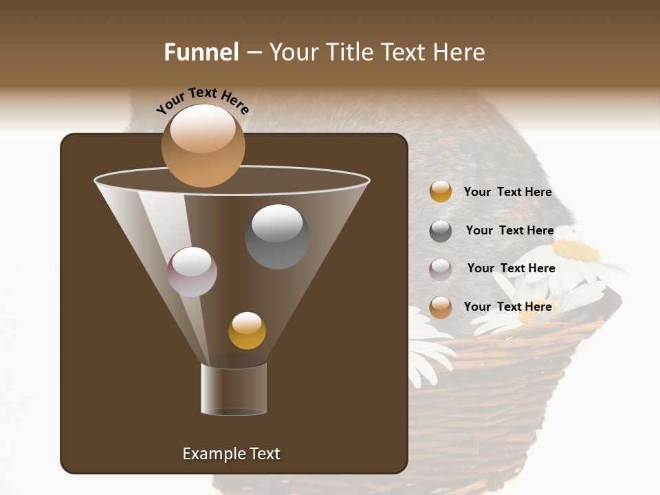 Lying Timid Season PowerPoint Template
