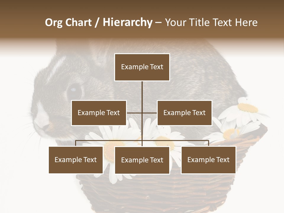 Lying Timid Season PowerPoint Template