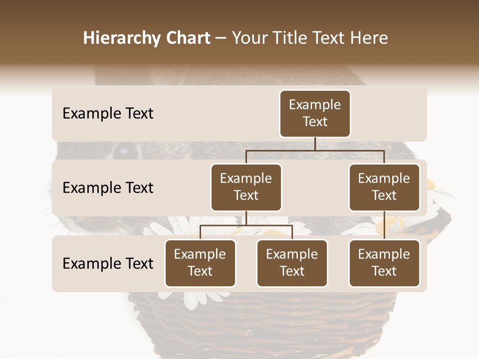 Lying Timid Season PowerPoint Template