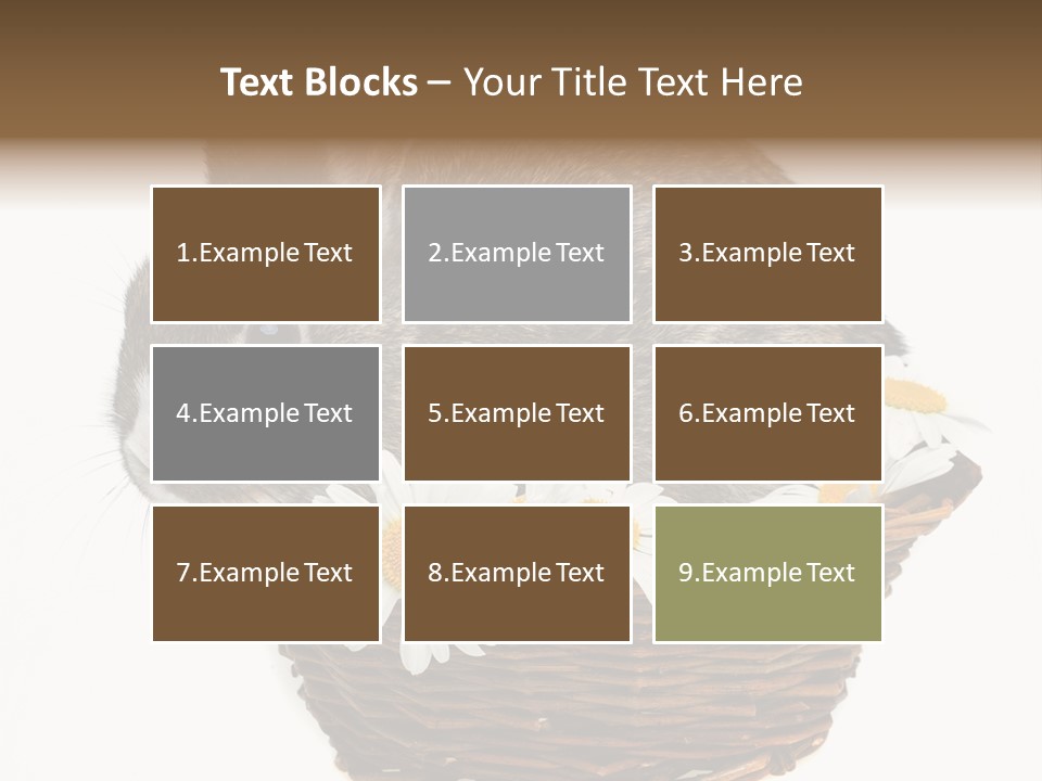 Lying Timid Season PowerPoint Template