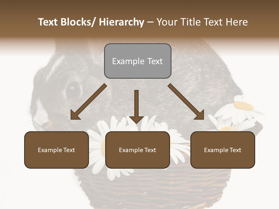 Lying Timid Season PowerPoint Template