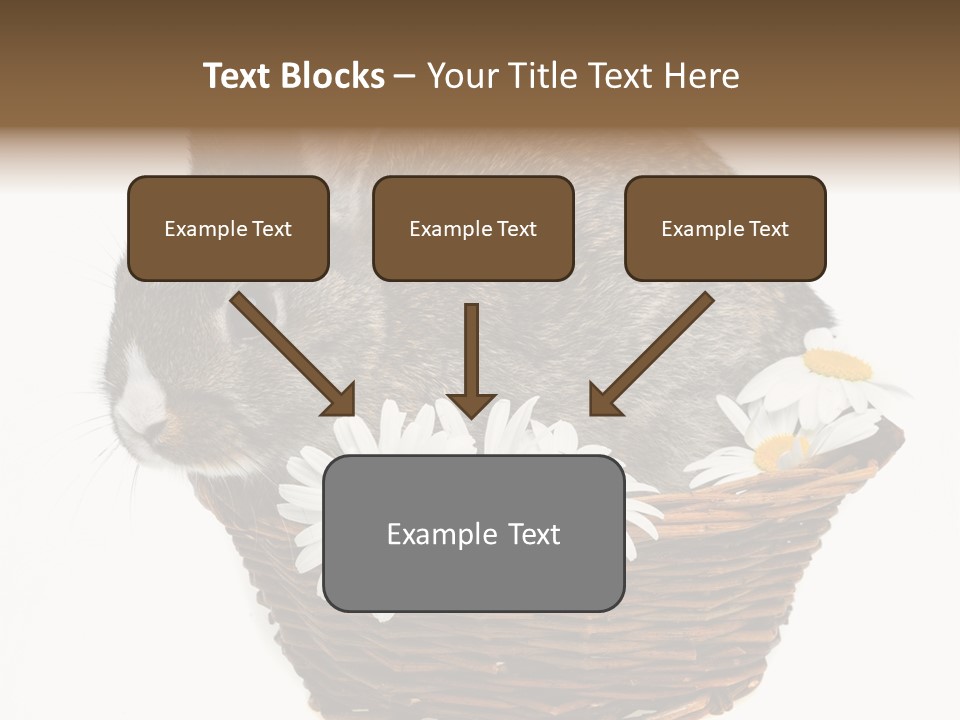 Lying Timid Season PowerPoint Template