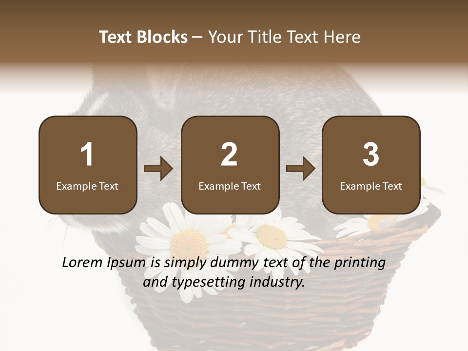 Lying Timid Season PowerPoint Template