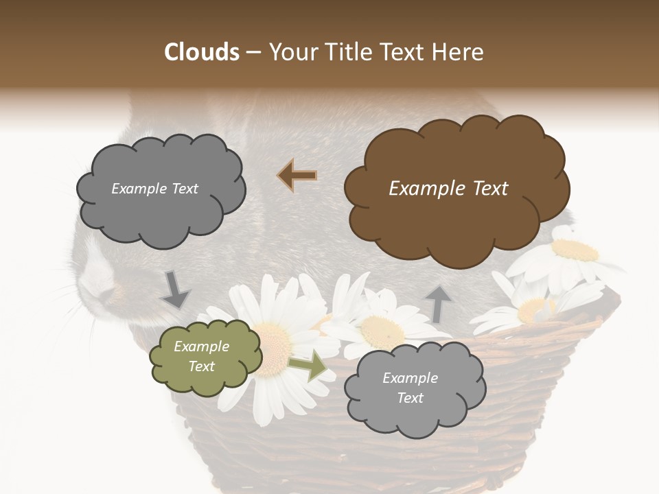 Lying Timid Season PowerPoint Template
