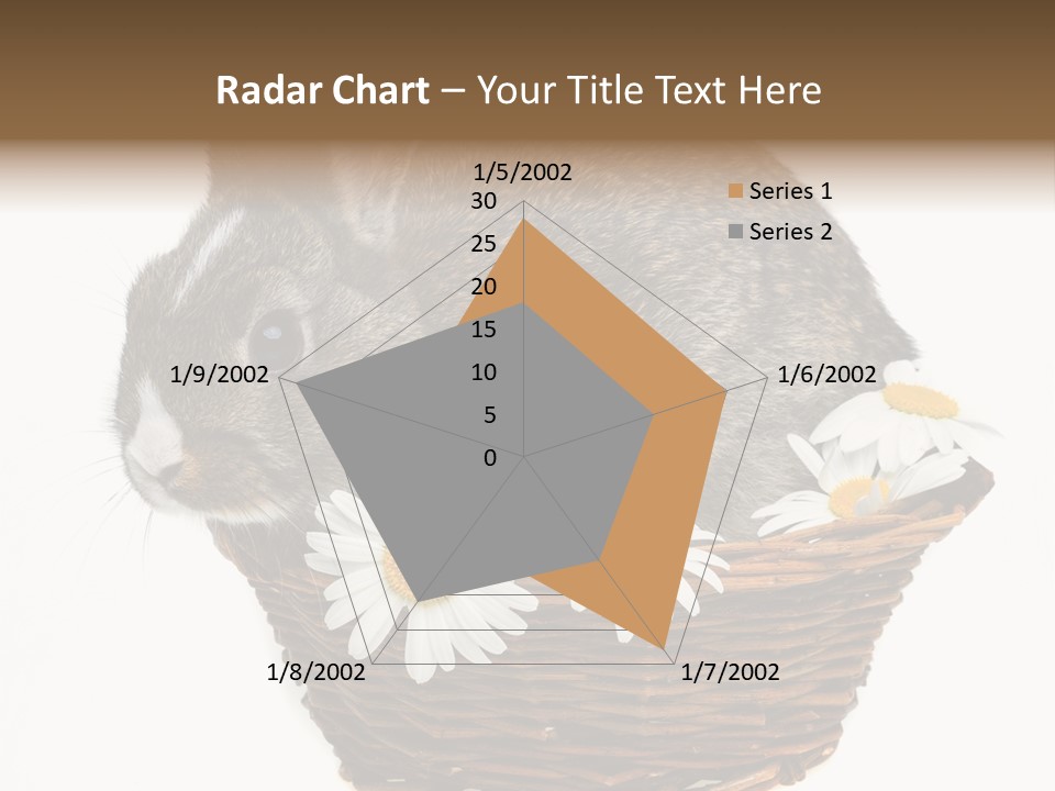 Lying Timid Season PowerPoint Template