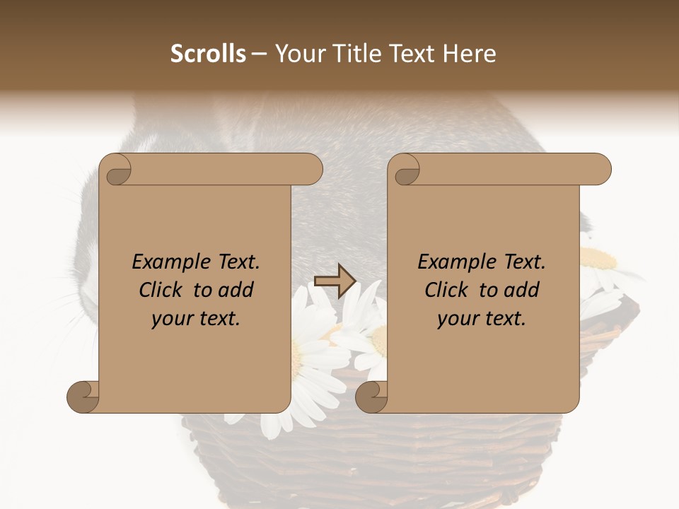 Lying Timid Season PowerPoint Template