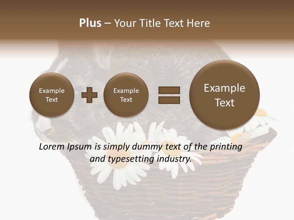 Lying Timid Season PowerPoint Template