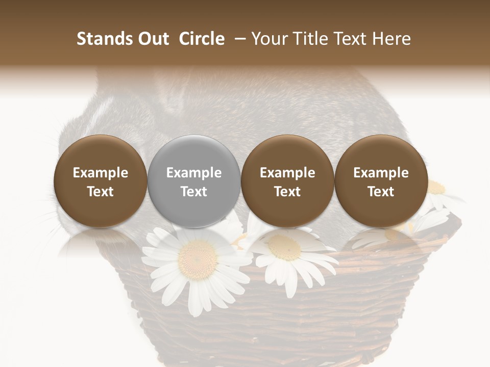 Lying Timid Season PowerPoint Template