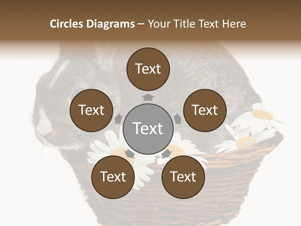 Lying Timid Season PowerPoint Template