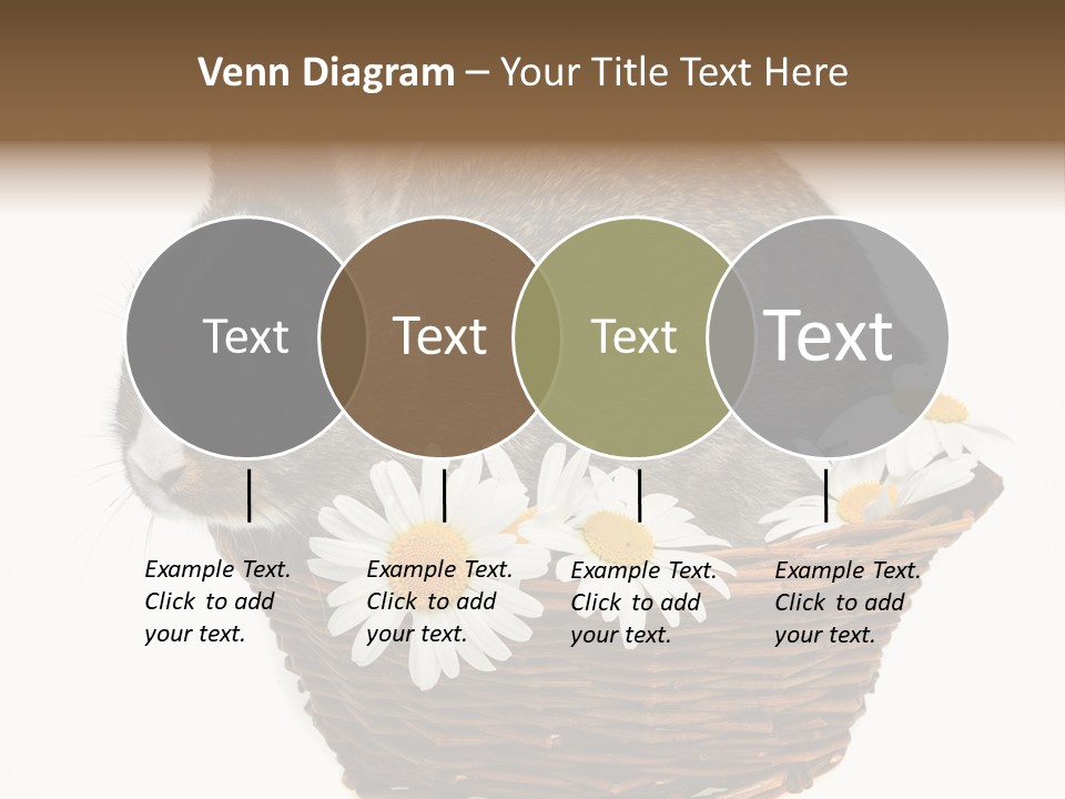 Lying Timid Season PowerPoint Template