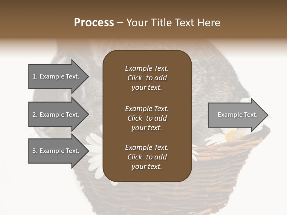 Lying Timid Season PowerPoint Template