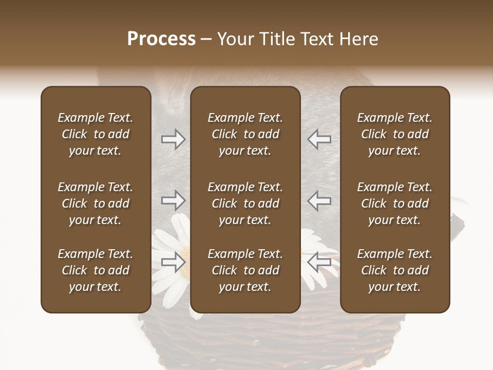 Lying Timid Season PowerPoint Template