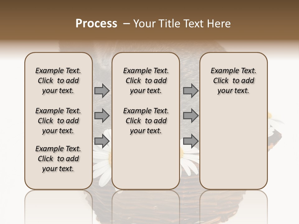 Lying Timid Season PowerPoint Template