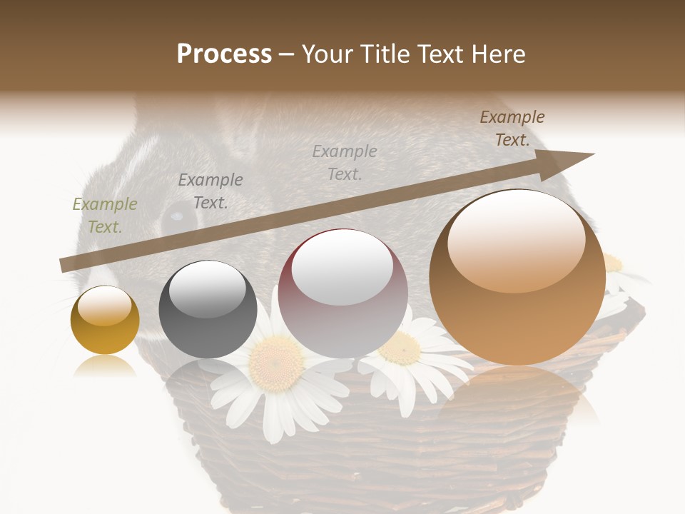 Lying Timid Season PowerPoint Template