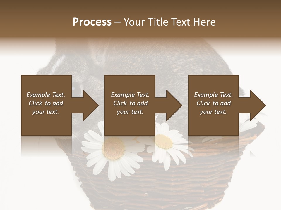Lying Timid Season PowerPoint Template