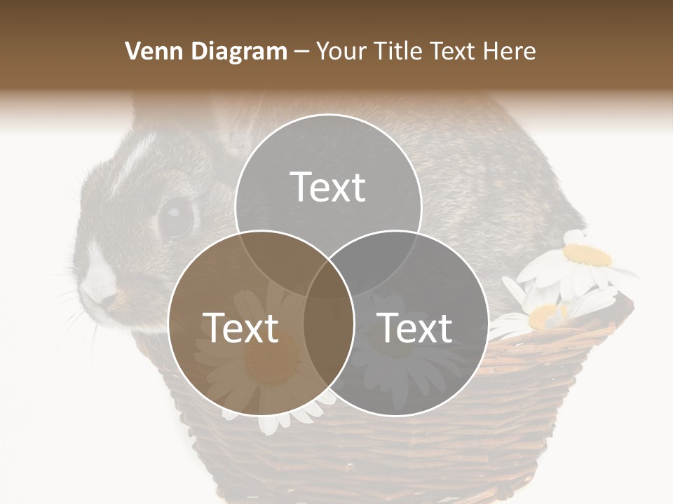 Lying Timid Season PowerPoint Template