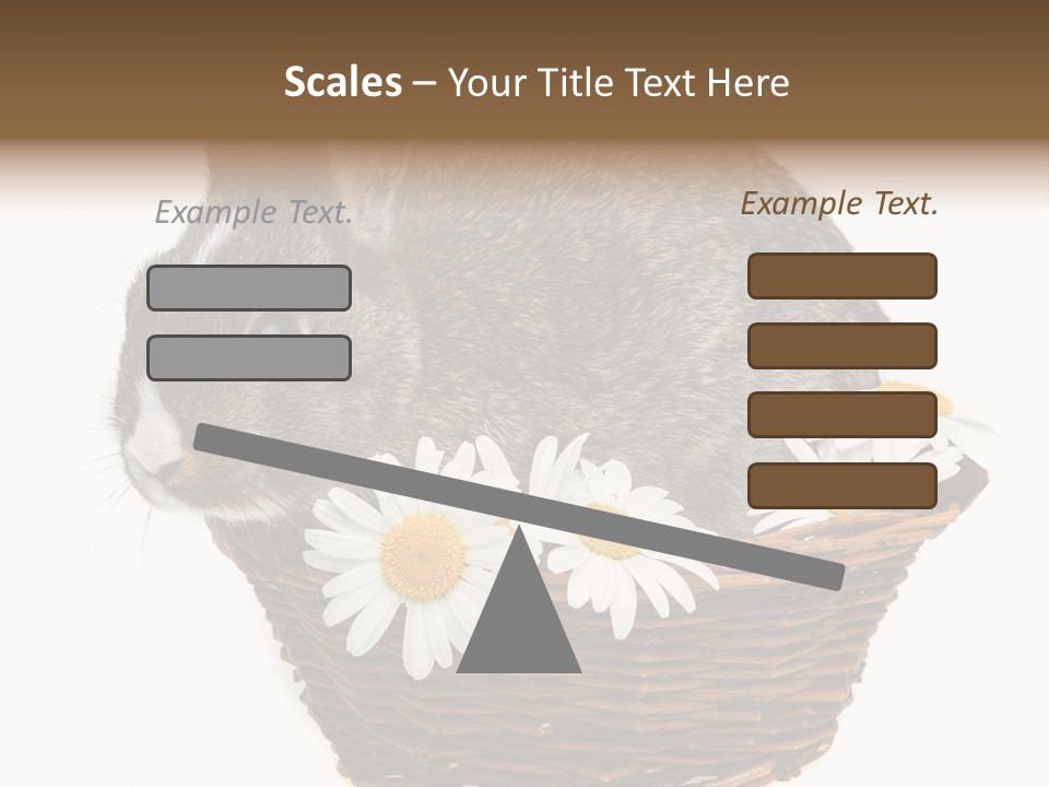 Lying Timid Season PowerPoint Template