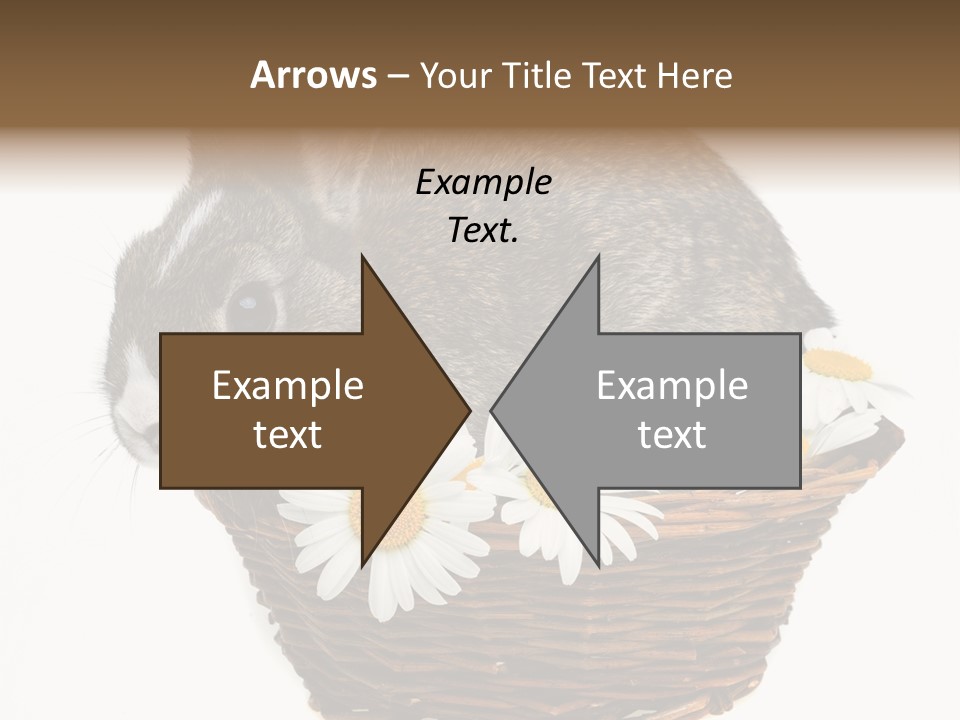 Lying Timid Season PowerPoint Template