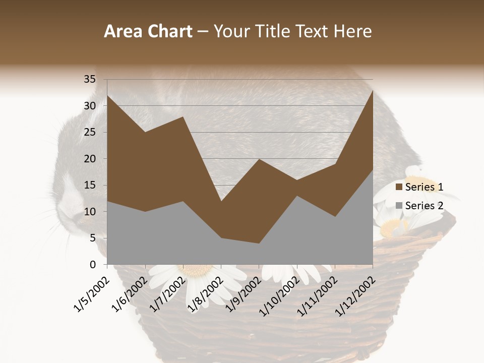 Lying Timid Season PowerPoint Template