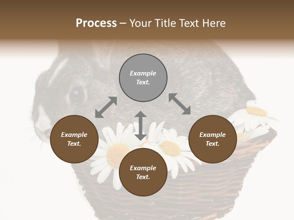 Lying Timid Season PowerPoint Template