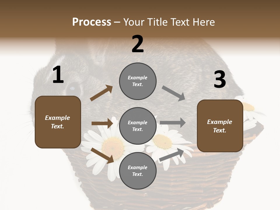 Lying Timid Season PowerPoint Template