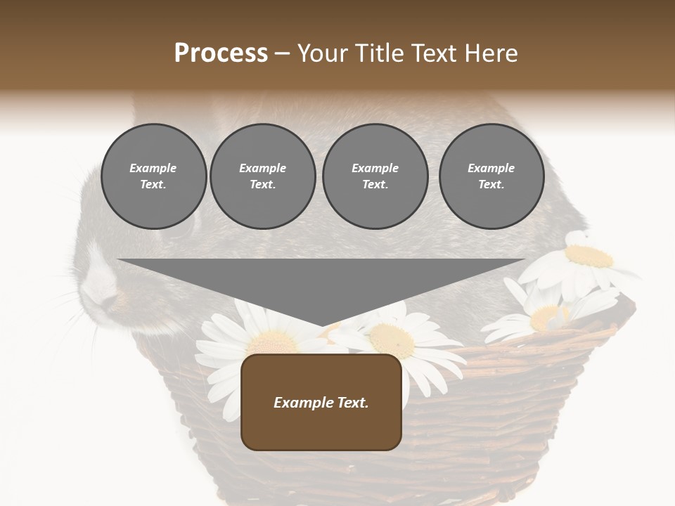 Lying Timid Season PowerPoint Template
