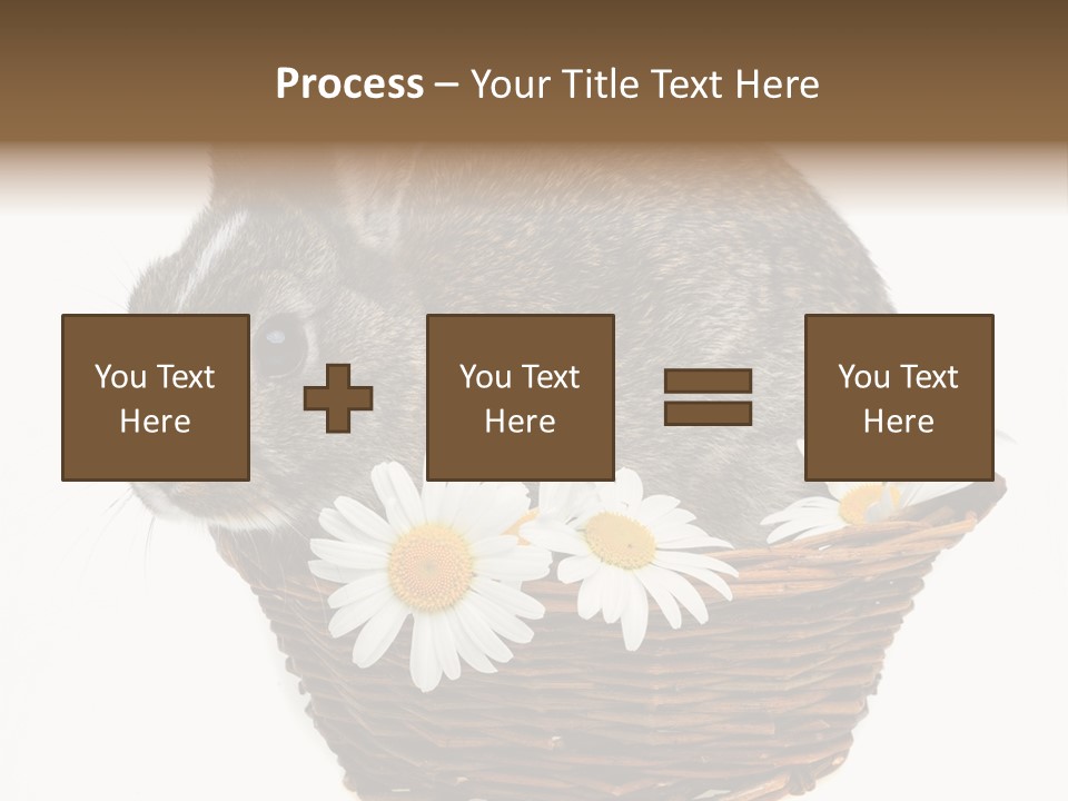 Lying Timid Season PowerPoint Template