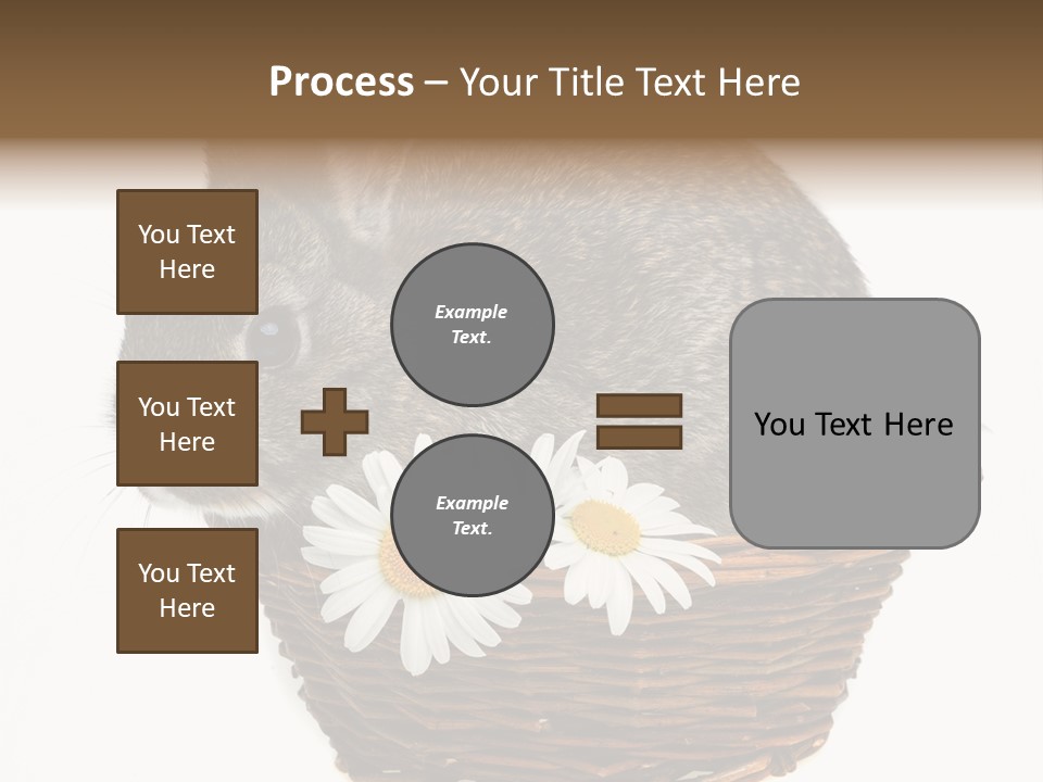 Lying Timid Season PowerPoint Template