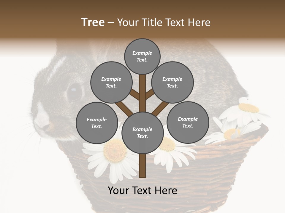 Lying Timid Season PowerPoint Template