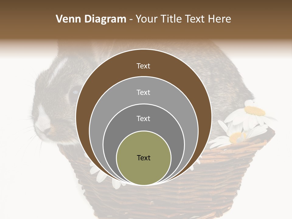 Lying Timid Season PowerPoint Template