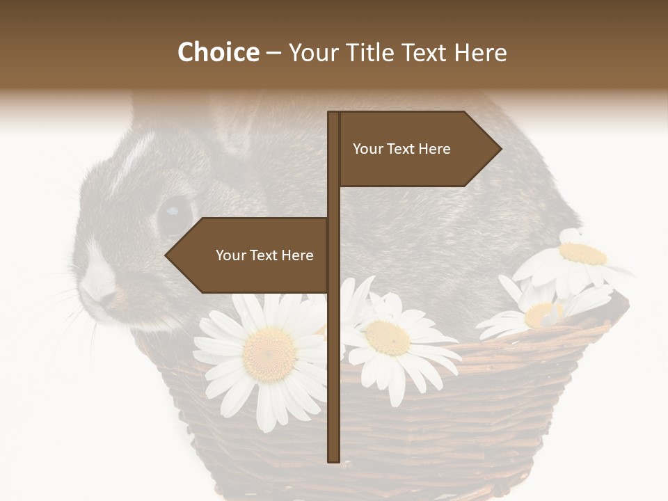 Lying Timid Season PowerPoint Template