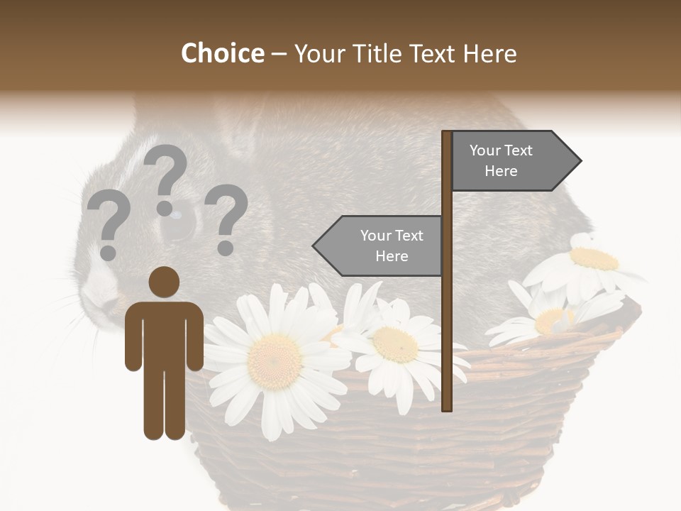 Lying Timid Season PowerPoint Template