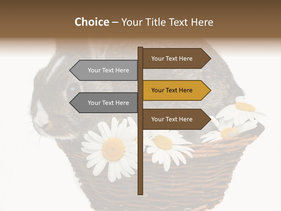 Lying Timid Season PowerPoint Template