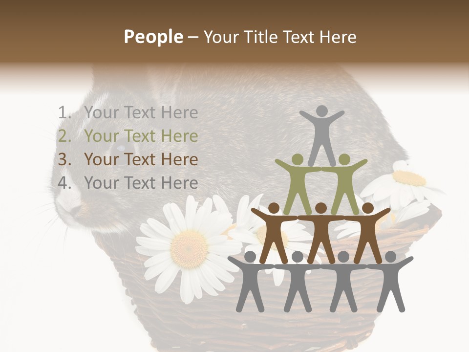 Lying Timid Season PowerPoint Template