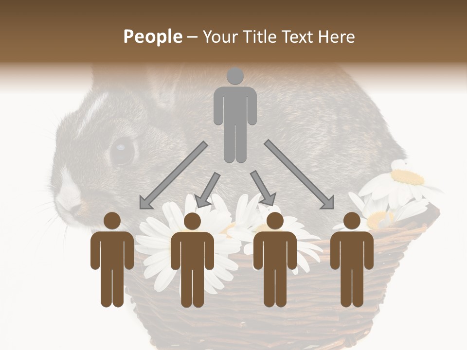 Lying Timid Season PowerPoint Template