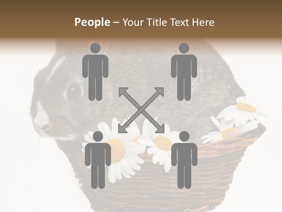 Lying Timid Season PowerPoint Template