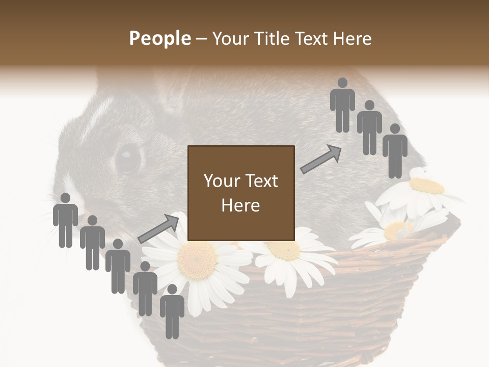 Lying Timid Season PowerPoint Template