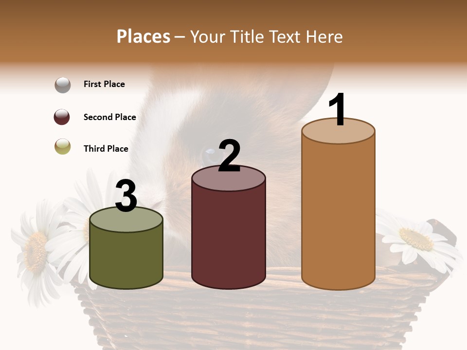 Baby Season Spring PowerPoint Template