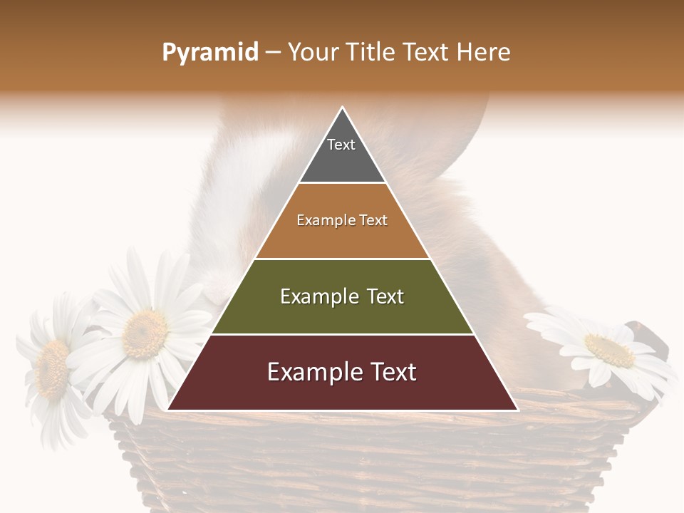 Baby Season Spring PowerPoint Template