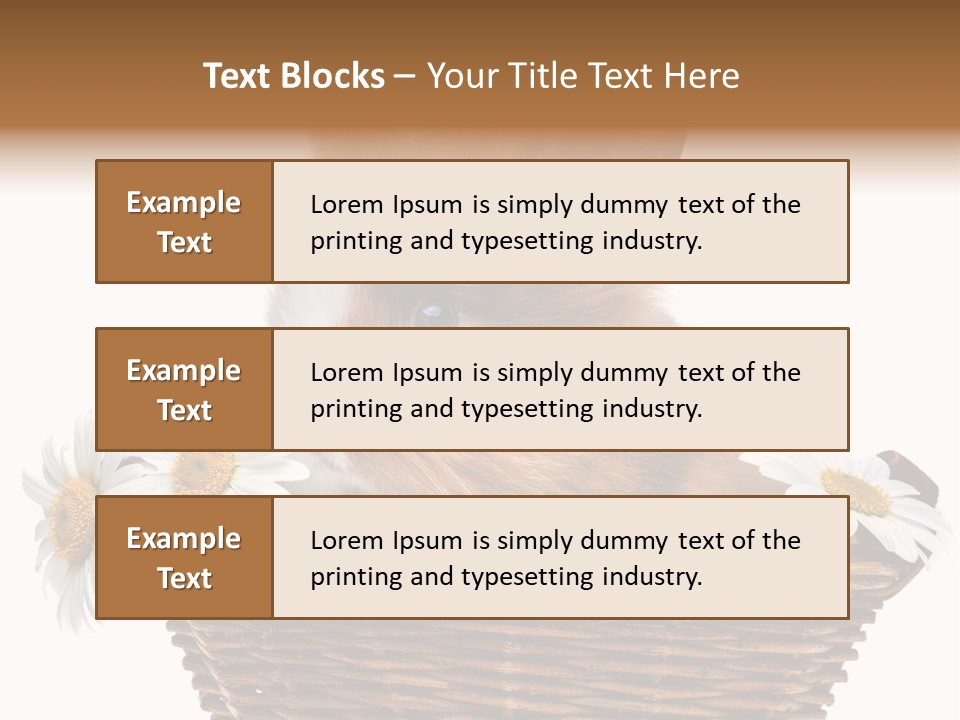 Baby Season Spring PowerPoint Template